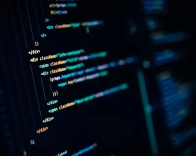 Expert Programmers